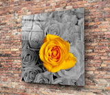 Yellow Rose Glass Wall Art