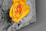 Yellow Rose Glass Wall Art