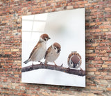 Birds Glass Wall Art