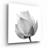 Flower Glass Wall Art