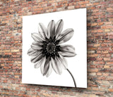 Flower Glass Wall Art