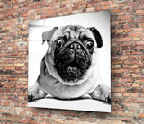 Pug Glass Wall Art