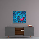 Butterfly Glass Wall Art