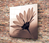 Flower Glass Wall Art