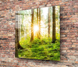 Forest Glass Wall Art