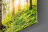 Forest Glass Wall Art