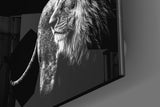 Lion Glass Wall Art