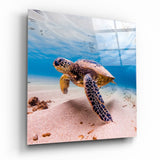 Sea Turtle Glass Wall Art