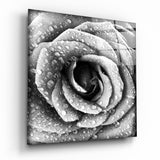 Rose Glass Wall Art