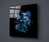 Betta Fish Glass Wall Art