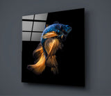 Betta Fish Glass Wall Art