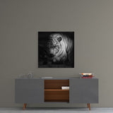 White Tiger Glass Wall Art