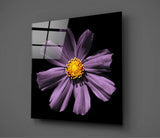 Pink Flower Glass Wall Art