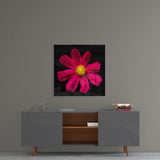 Red Flower Glass Wall Art