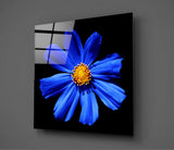 Blue Flower Glass Wall Art