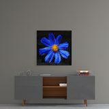 Blue Flower Glass Wall Art