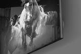 Running Horse Glass Wall Art