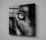 Wolf's Eye Glass Wall Art