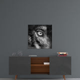 Wolf's Eye Glass Wall Art