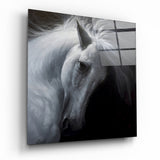 Horse Glass Wall Art