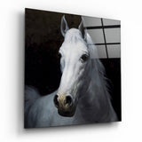 Horse Glass Wall Art