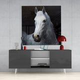 Horse Glass Wall Art