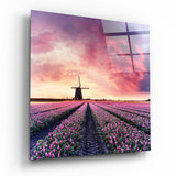 Tulip Field Glass Wall Art