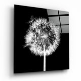 Dandelion Glass Wall Art | Insigne Art Design