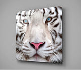 White Tiger Glass Wall Art | Insigne Art Design