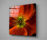 Flower Glass Wall Art | Insigne Art Design