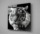 Tiger's Look Glass Wall Art | Insigne Art Design