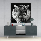 Tiger's Look Glass Wall Art | Insigne Art Design