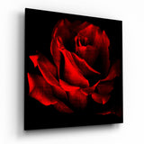 Red Rose Glass Wall Art | Insigne Art Design