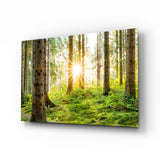 Forest Glass Wall Art