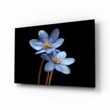 Blaue Blume Glasbild