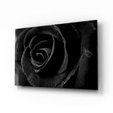 Black Rose Glass Wall Art