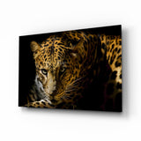 Leopar Glasbild