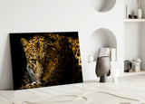 Leopar Glasbild