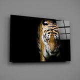 Tiger Glasbild