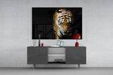 Tiger Glasbild