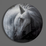 Horse Glass Wall Art