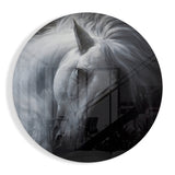 Horse Glass Wall Art