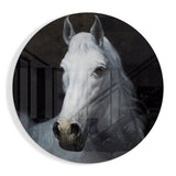 Horse Glass Wall Art