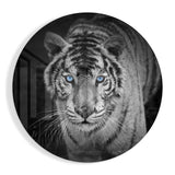 Tiger Glass Wall Art