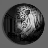 Tiger Glass Wall Art