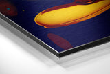 Brushed Aluminium Dibond Wall Art