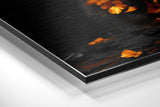 Brushed Aluminium Dibond Wall Art