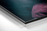 Brushed Aluminium Dibond Wall Art