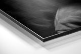 Brushed Aluminium Dibond Wall Art