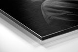 Brushed Aluminium Dibond Wall Art